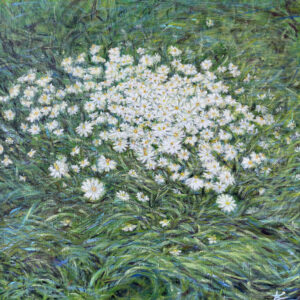 constellation of the healing chamomile