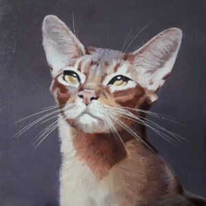 Yuliia Zaverukha, Abyssinian cat