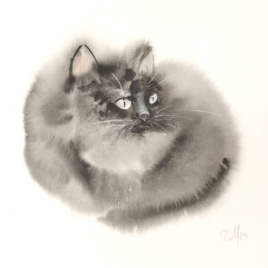 Slava Mjod, Cloud Cat