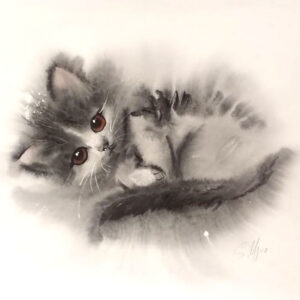 Slava Mjod, Little Wonder