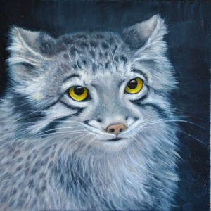 Yuliia Zaverukha, Pallas’s Cat (Still a Cat)