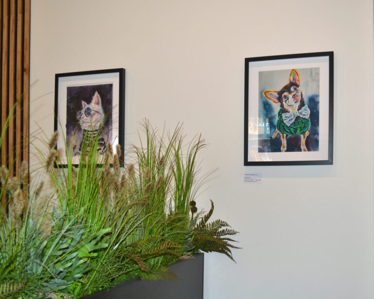 Exhibition prints of Yael Natali Sonkin’s cat and dog portraits on the wall at Raf Cafe, Tallinn