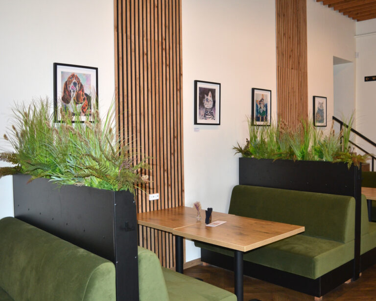 Little Paws, Big Heart – exhibition prints on display at Raf Cafe, Tallinn
