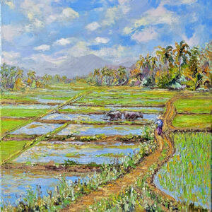 Two Water Buffalo and Figure in Rice Fields