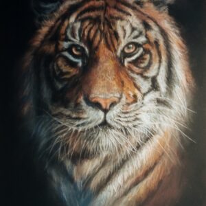 Close-up tiger portrait against a dark background by Marina Solovjova.